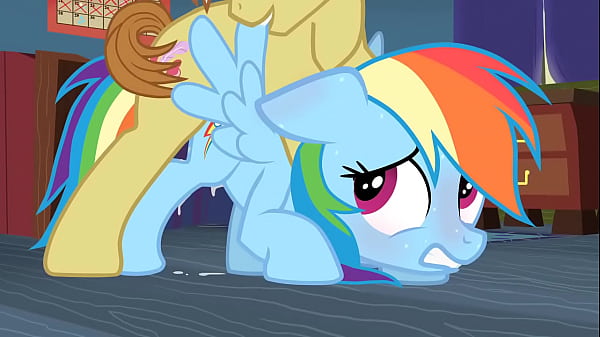 my little pony rainbow dash and rarity scen