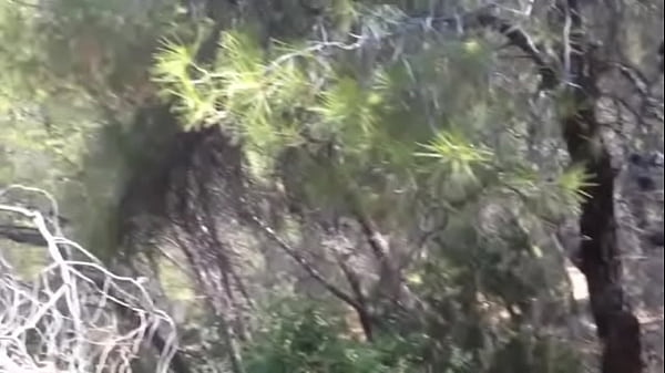 awesome blowjob in the forest